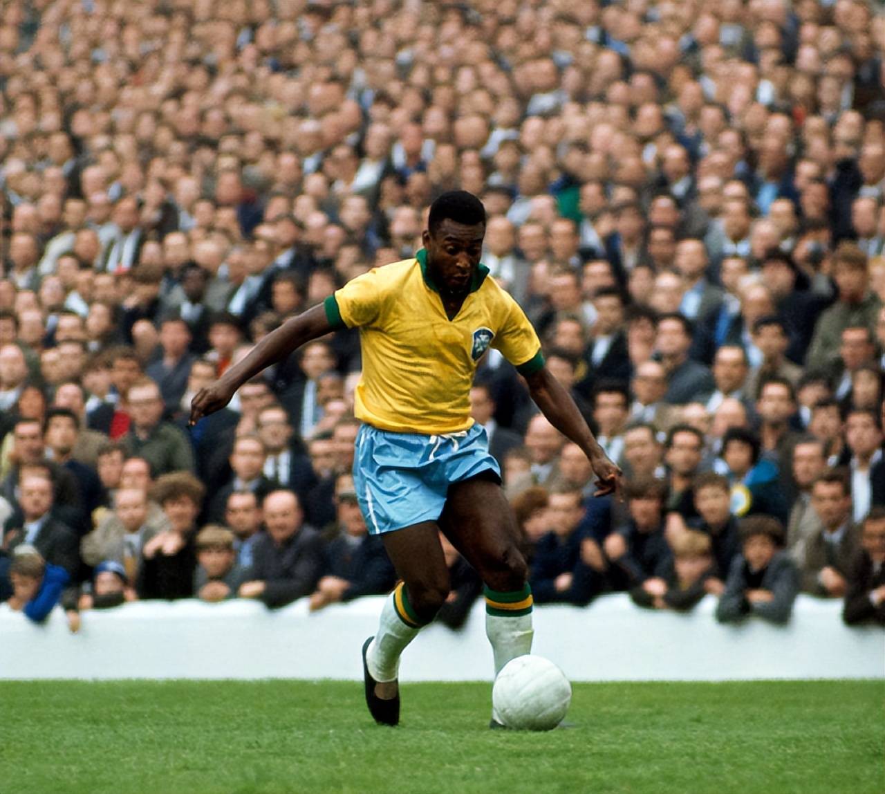 度依旧高企 度依旧高企