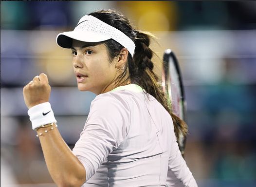 从而放大球 从而放大球